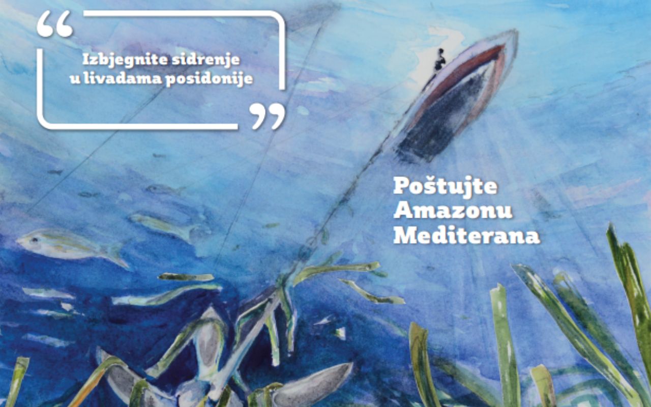 Respect the Amazon of the Mediterranean (2016)