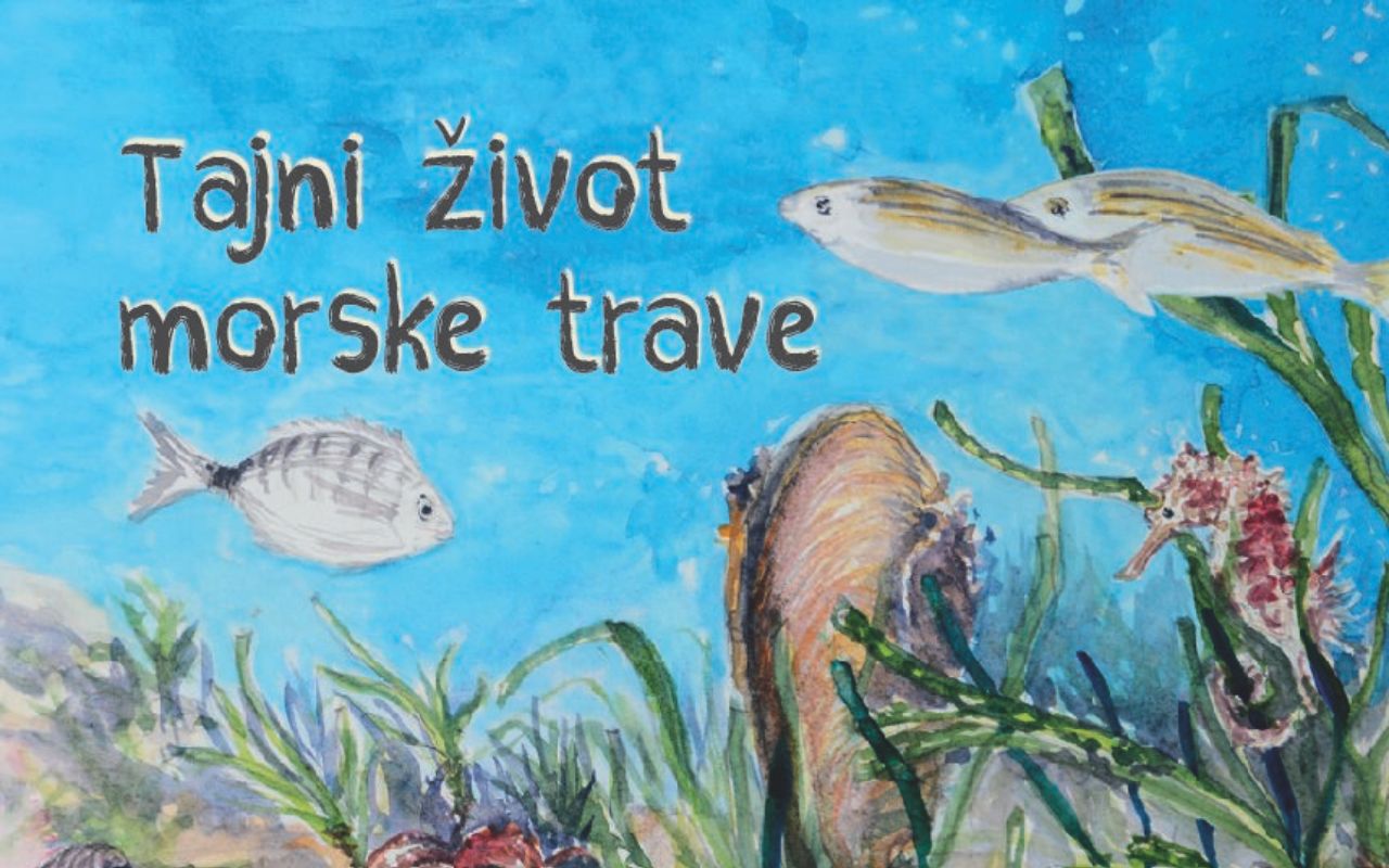 Crtančica tajni život morske trave (2016)